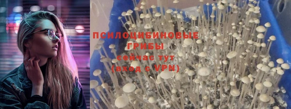 mdma Пересвет