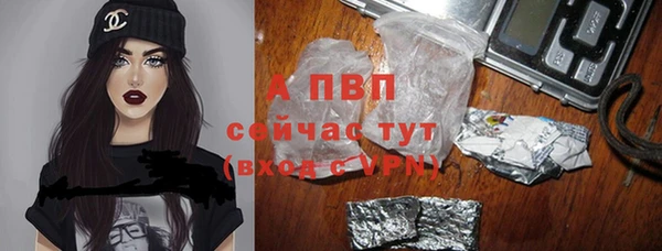 соль ск Пестово