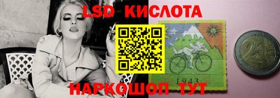 шишки Абакан