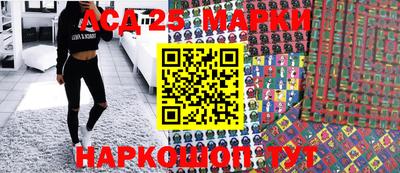 шишки Абакан