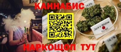 шишки Абакан