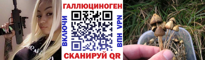 как найти закладки ссылка на мегу вход Галлюциногенные грибы мухоморы Алатырь