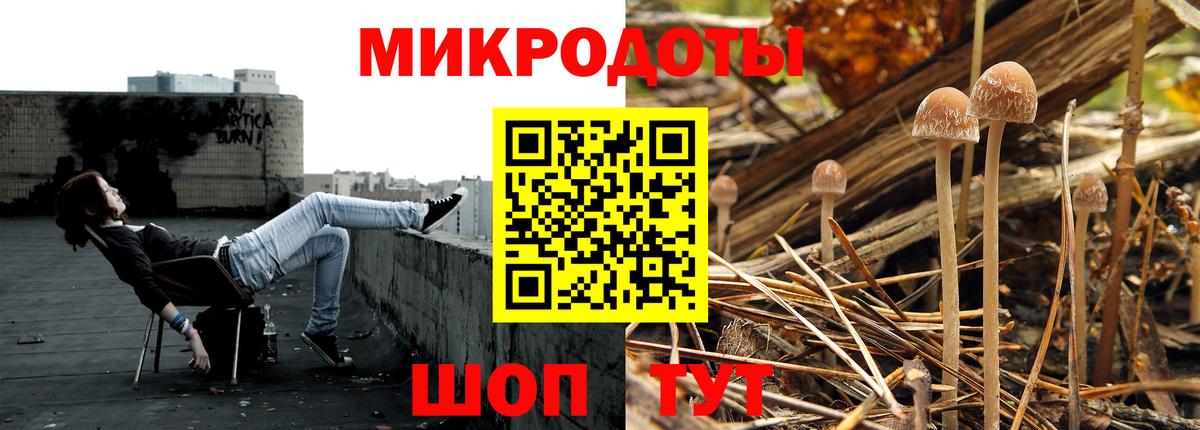 Галлюциногенные грибы Psilocybe  Псилоцибиновые грибы ЛСД  Вход с VPN  Алатырь 