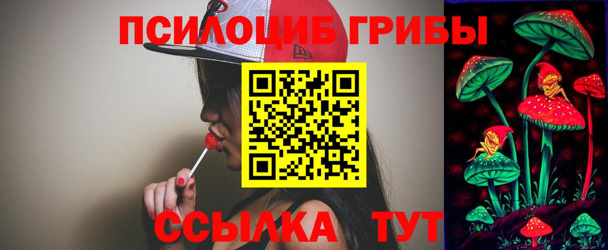 Галлюциногенные грибы Psilocybine cubensis  цена наркотик  Алатырь 