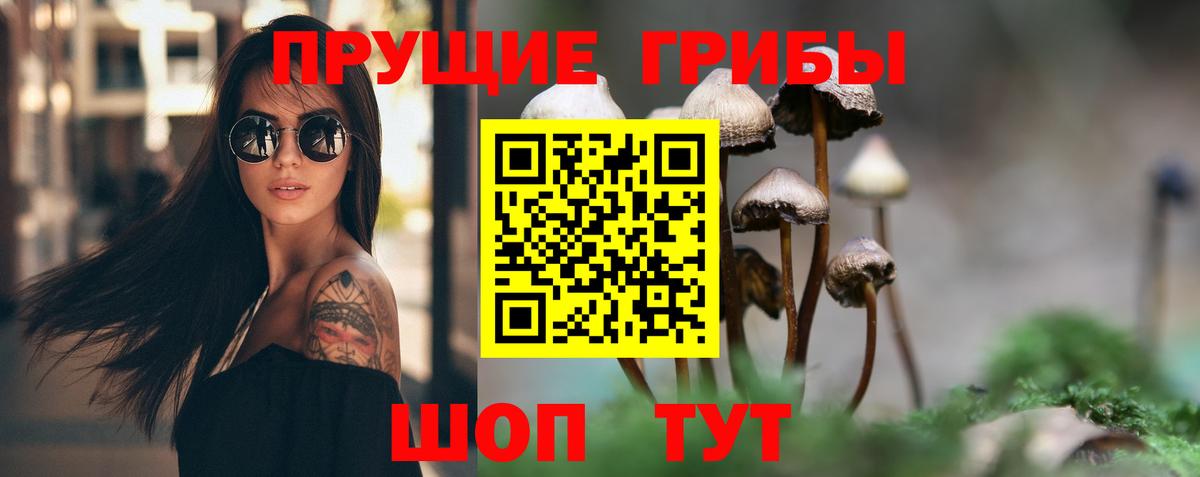 Галлюциногенные грибы прущие грибы Алатырь